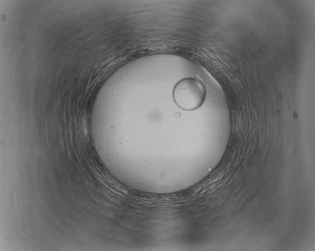 X0000068821106200605051203