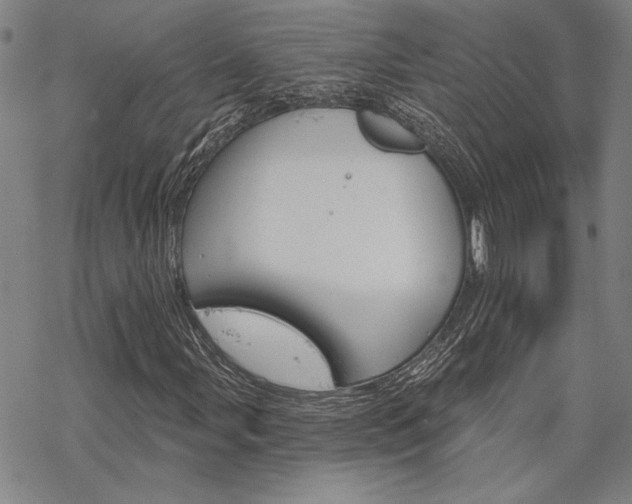 X0000068821107200605051203