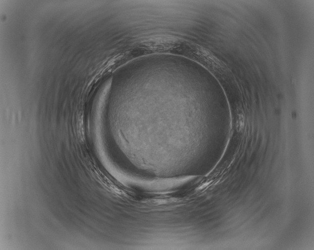 X0000068821108200605051203