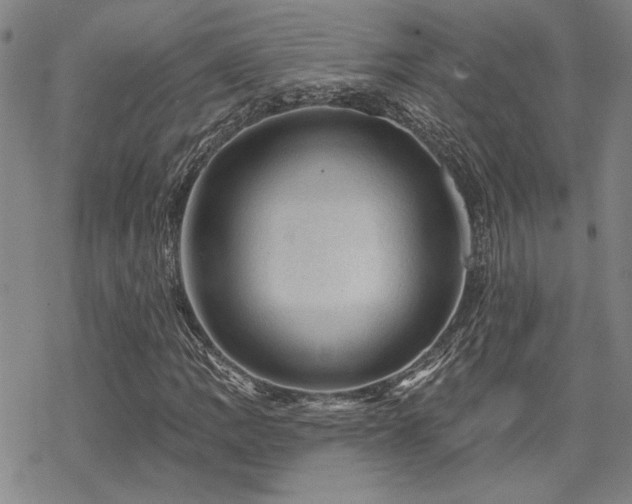 X0000068821109200605051203