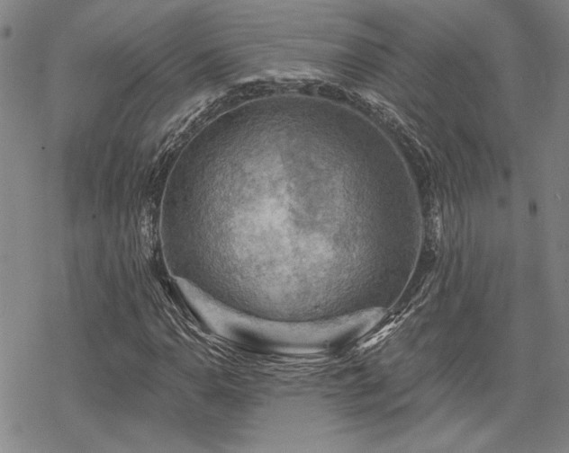 X0000068821110200605051203