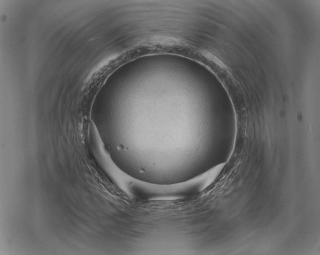 X0000068821112200605051203