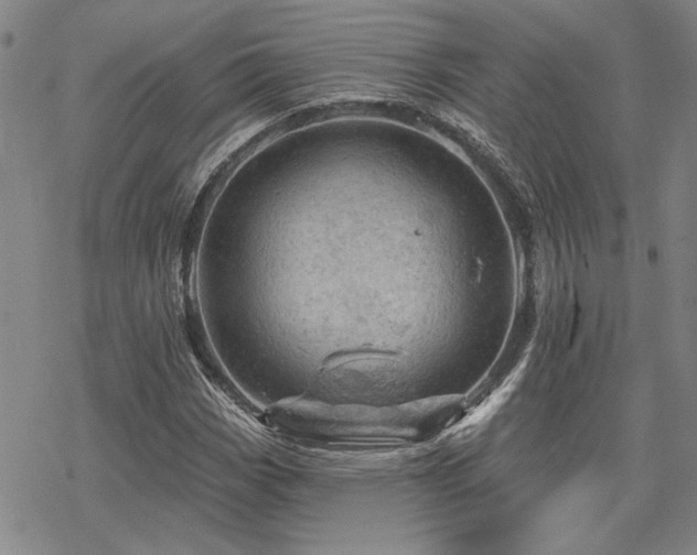 X0000068821113200605051203