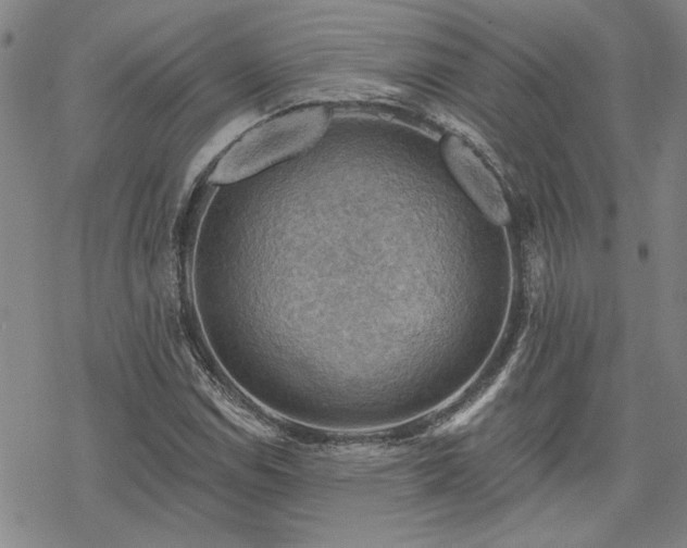 X0000068821114200605051203