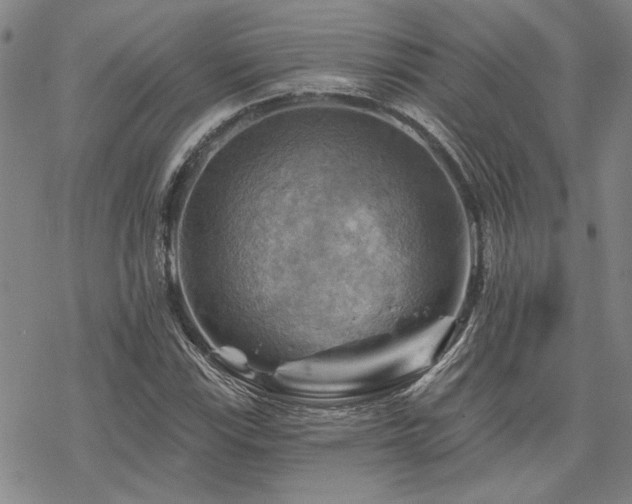 X0000068821115200605051203