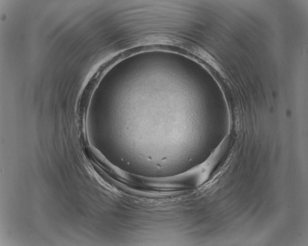 X0000068821116200605051203