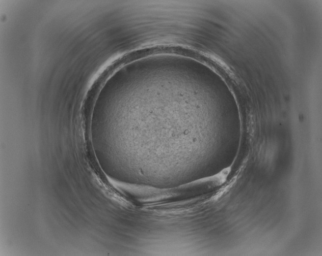 X0000068821118200605051203