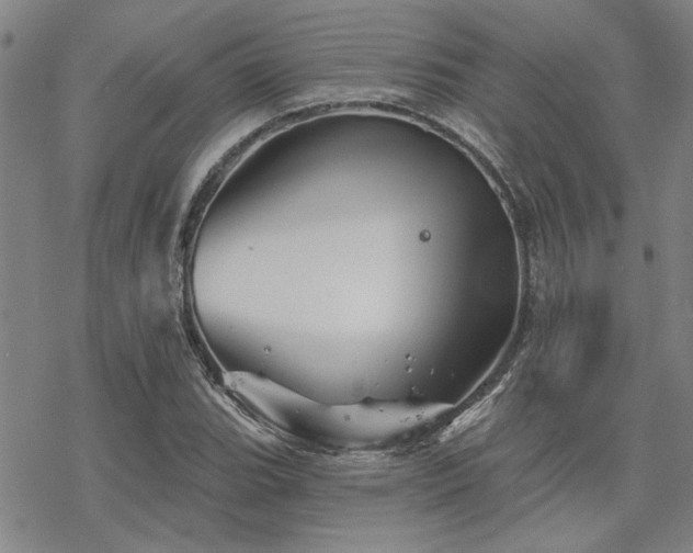 X0000068821119200605051203