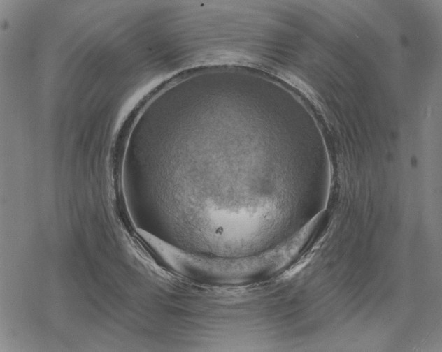 X0000068821120200605051203