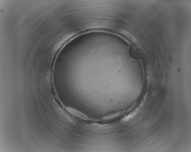 X0000068821121200605051203