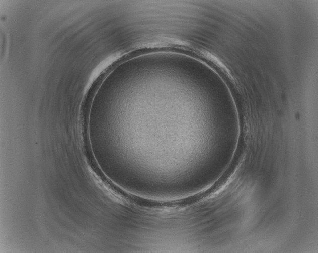 X0000068821122200605051203