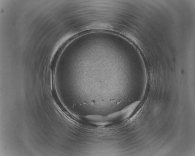 X0000068821123200605051203