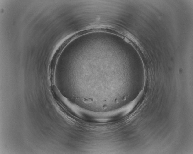 X0000068821124200605051203