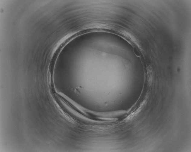 X0000068821125200605051203