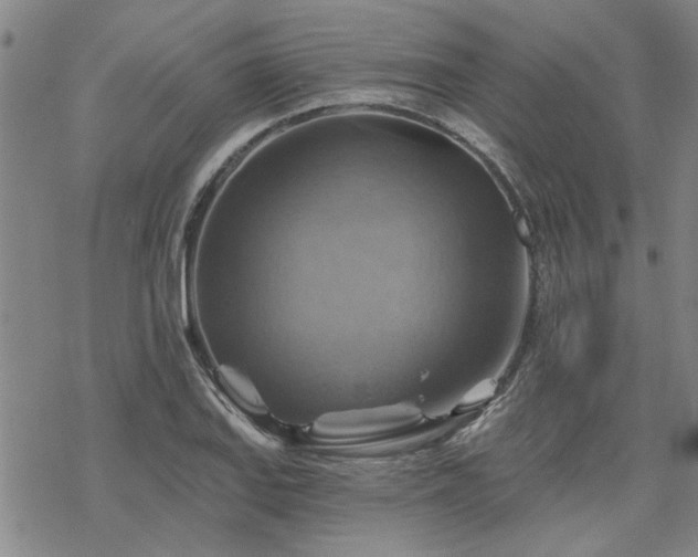 X0000068821127200605051204