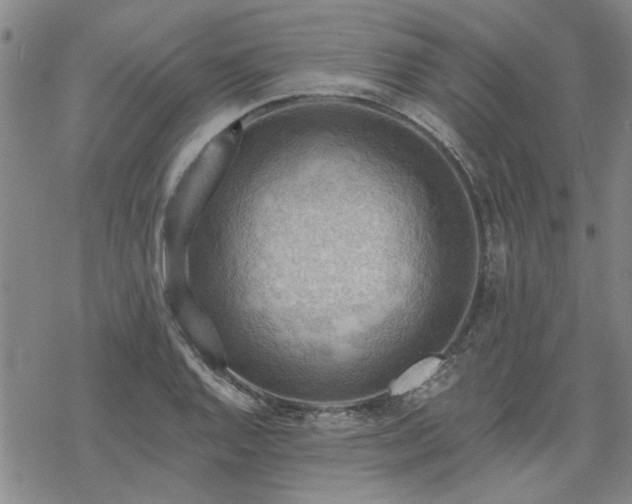 X0000068821128200605051204