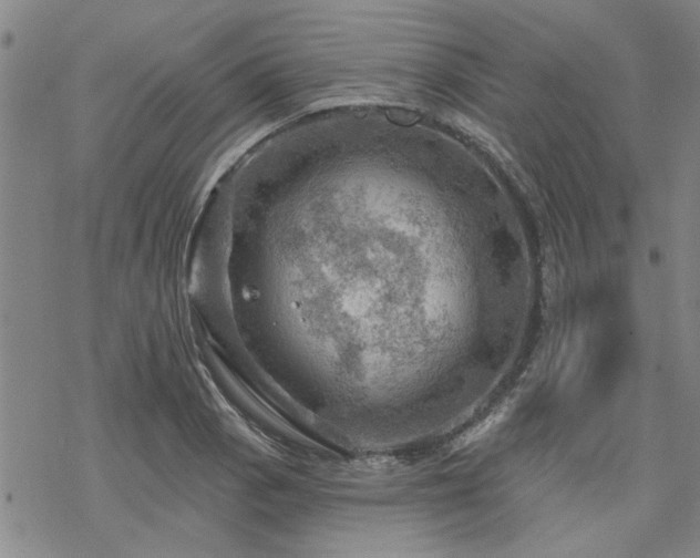 X0000068821129200605051204