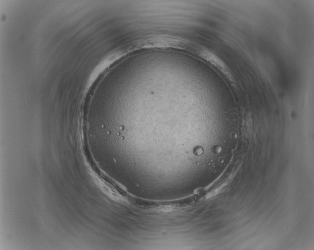 X0000068821130200605051204