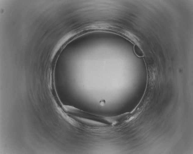 X0000068821131200605051204