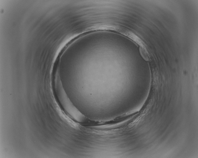 X0000068821132200605051204