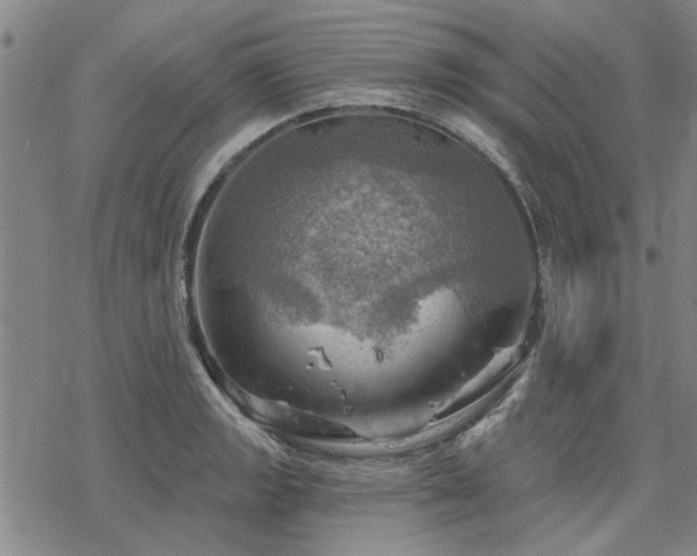 X0000068821133200605051204