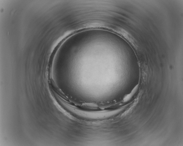 X0000068821134200605051204