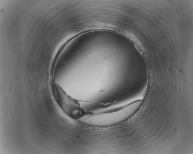 X0000068821136200605051204