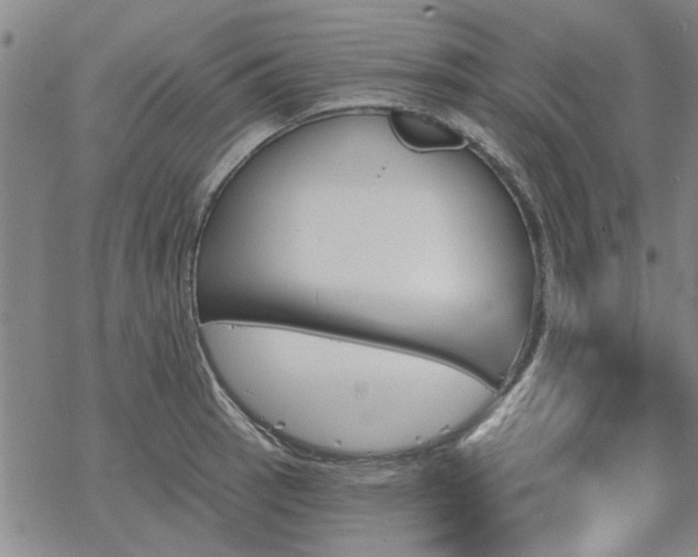 X0000068821137200605051204