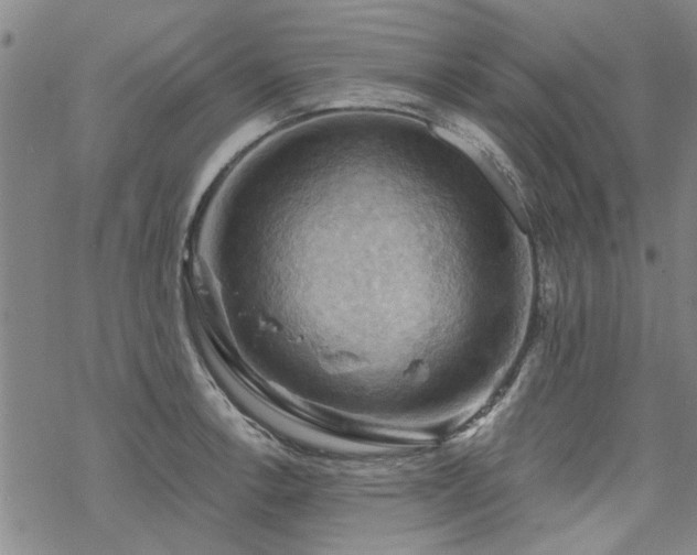 X0000068821138200605051204