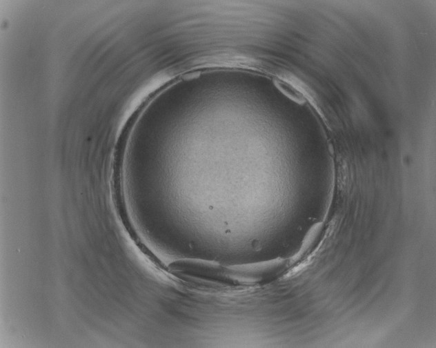 X0000068821139200605051204