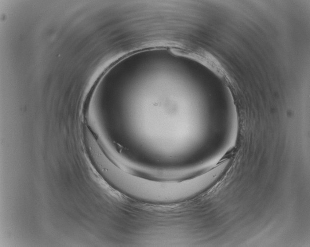 X0000068821140200605051204