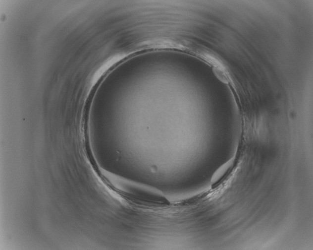 X0000068821141200605051204