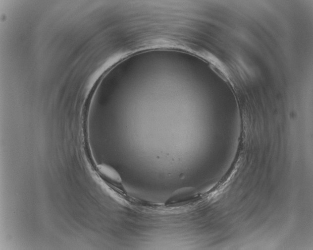 X0000068821142200605051204