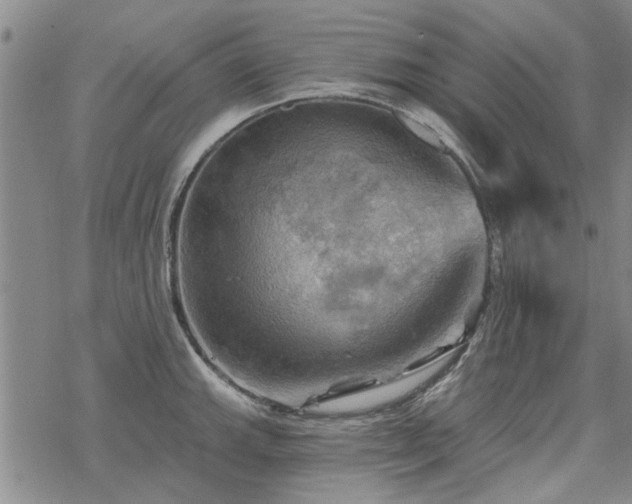 X0000068821143200605051204