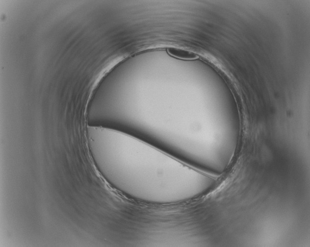 X0000068821145200605051204