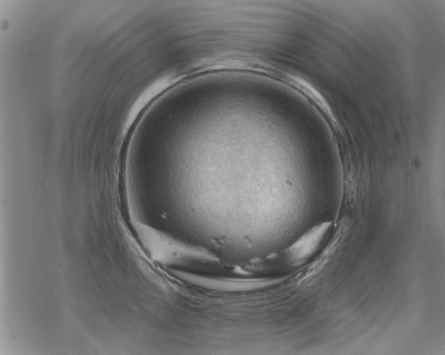 X0000068821146200605051204