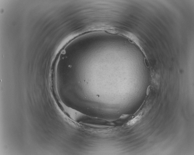 X0000068821147200605051204