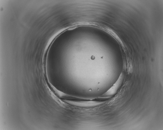 X0000068821148200605051204