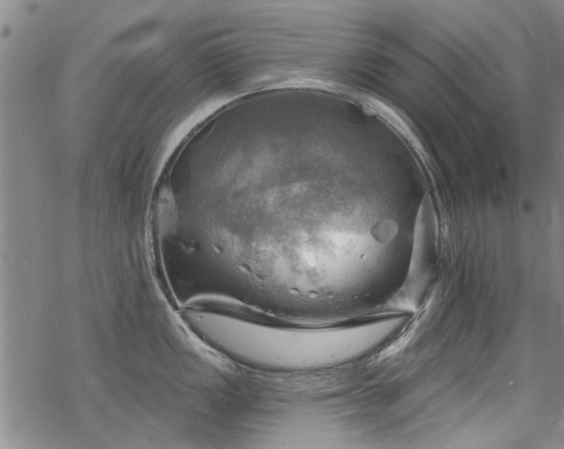 X0000068821149200605051204