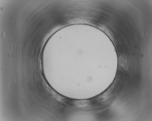 X0000068821150200605051204