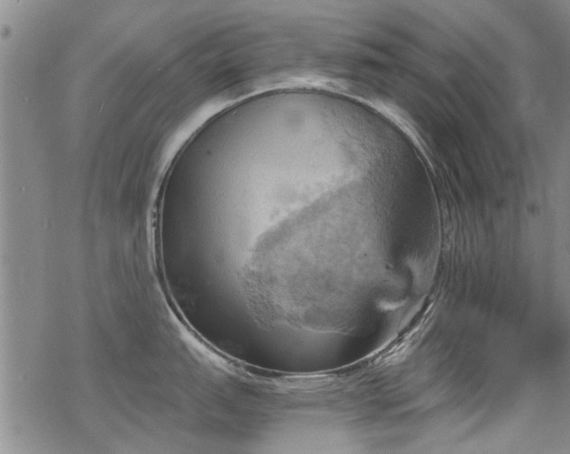 X0000068821151200605051204