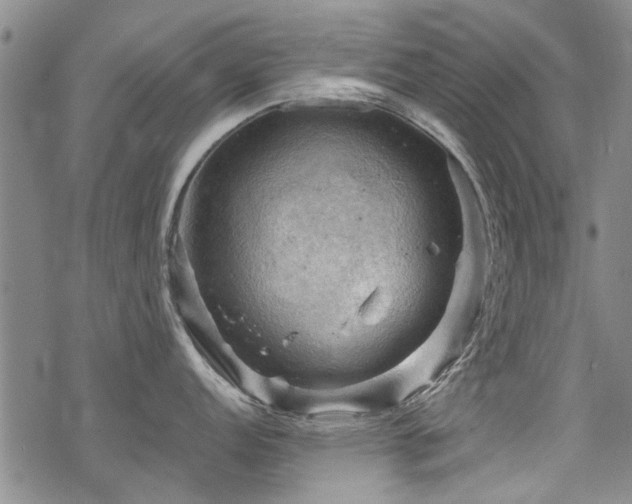 X0000068821152200605051204