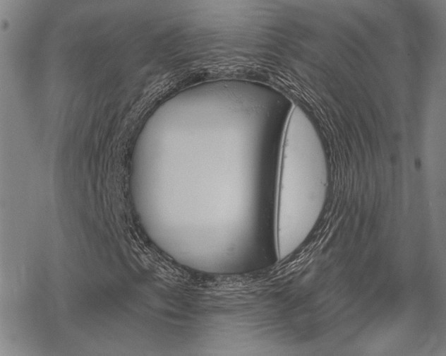 X0000068821153200605051203