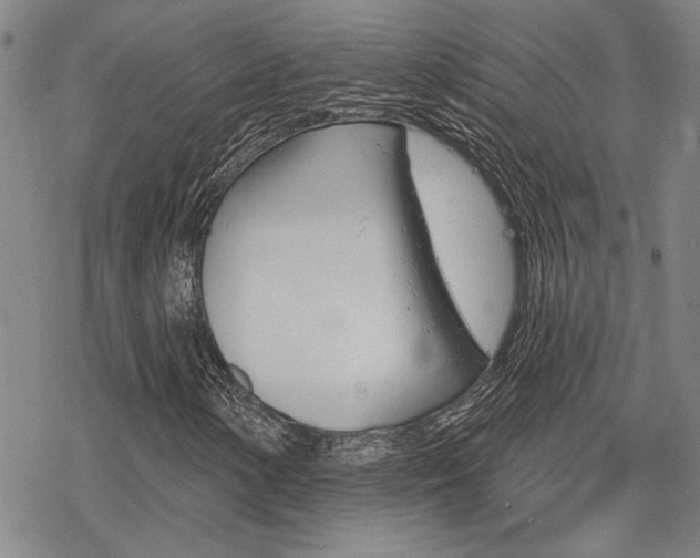 X0000068821154200605051203