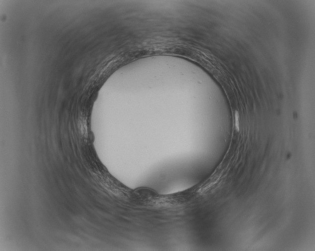 X0000068821155200605051203