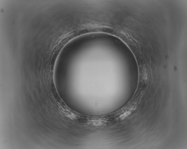 X0000068821157200605051203