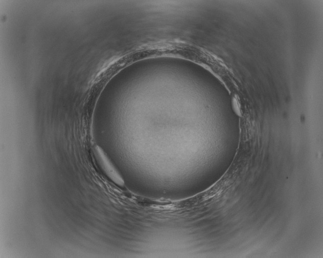 X0000068821158200605051203