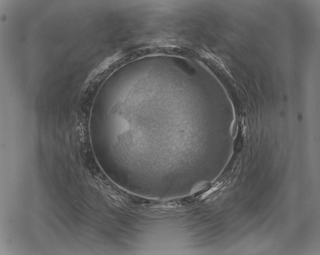 X0000068821159200605051203