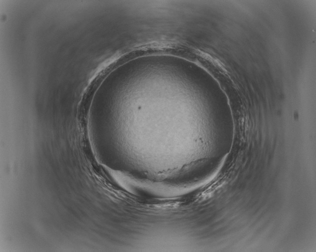 X0000068821160200605051203