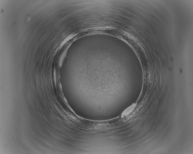 X0000068821161200605051203